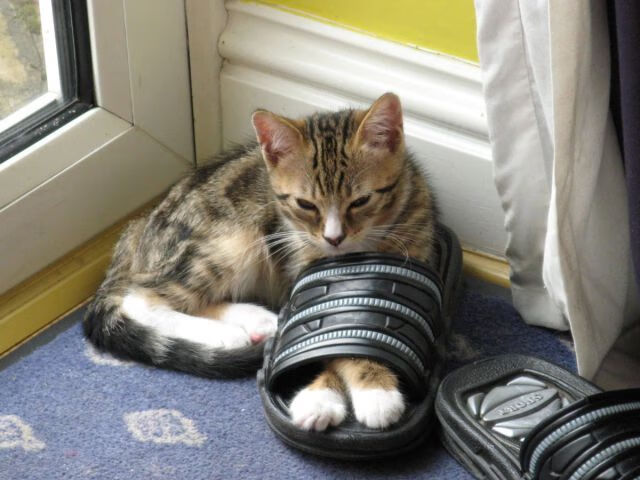 开云体育-史上最“炸裂”的灌篮比赛,哪一场让你激情爆棚?,灌篮集锦