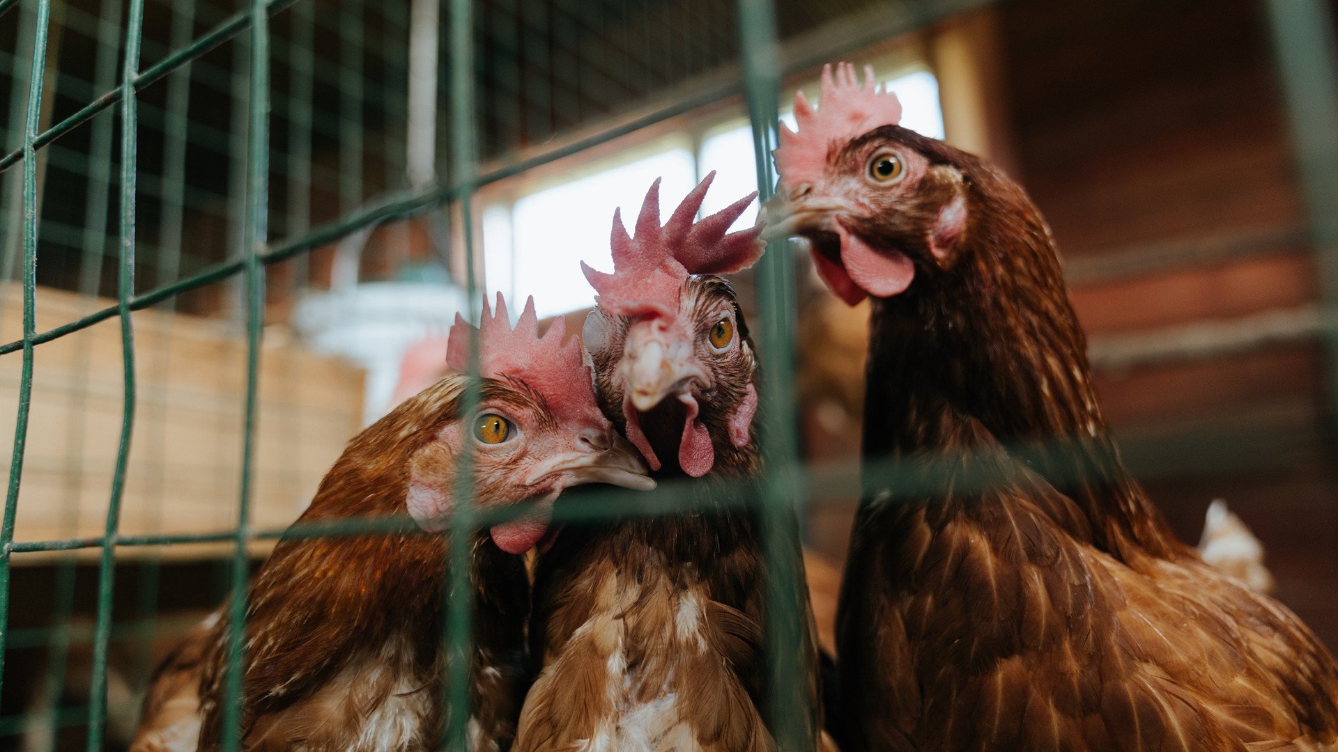 开云官方网站-中国高校体育运动会开幕,项目丰富精彩纷呈,全国高校体育