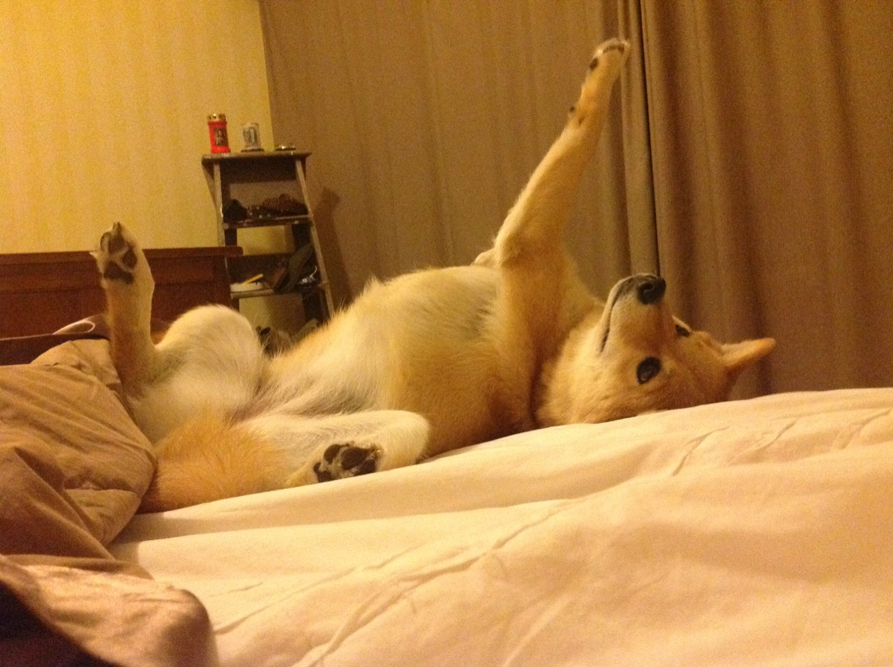 开云·体育官网-以足球小镇为载体，推动乡村振兴战略，足球小镇的特色美食